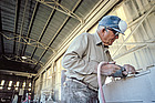 Stone Sculptor
Stone Sculptor