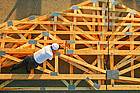 Truss Inspector
