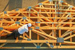 Truss Inspector
