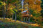 Bill Sumners Tree House

