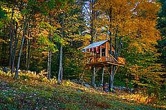 Bill Sumners Tree House
