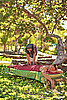 Shore side massage
