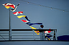 Cruise Lines