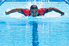 Black Butterfly Swimmer

