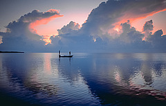 Bone Fishing at Dawn
