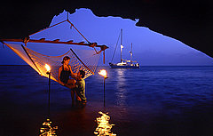 Night Dream
