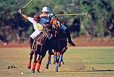 Polo
