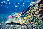 Snorkeling with fish
