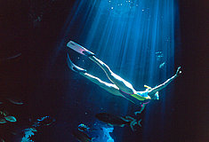 Thunderball Cave Diver
