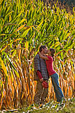 Under the Corn

