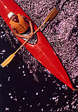 Resting Kayaker
