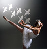 Swan Lake 
