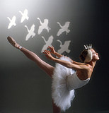 Swan Lake 
