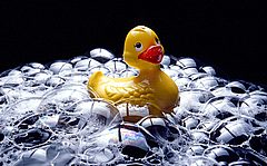 Yellow Rubber Duck in Bubbles
