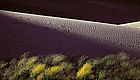 Great Sand Dunes National Park
