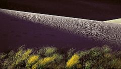 Great Sand Dunes National Park

