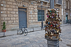 Locks of Love

