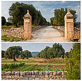 Masseria Salamina
